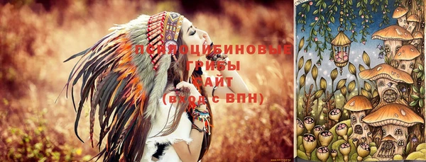тгк Бронницы