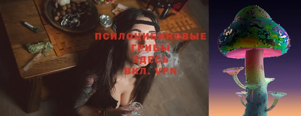 таблы Верея