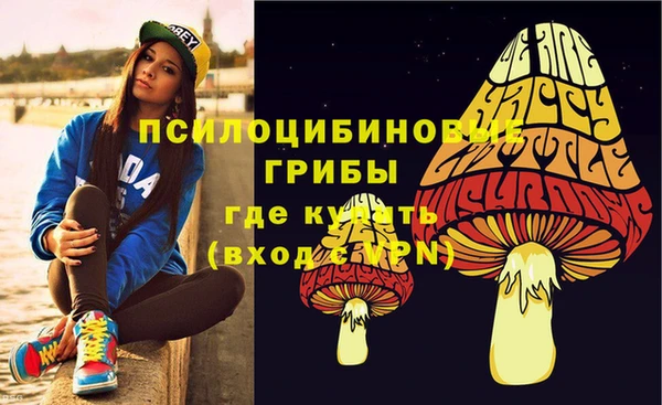 таблы Верея