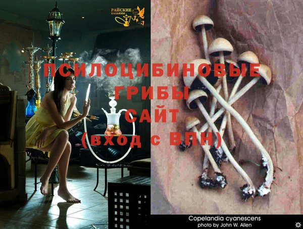 таблы Верея